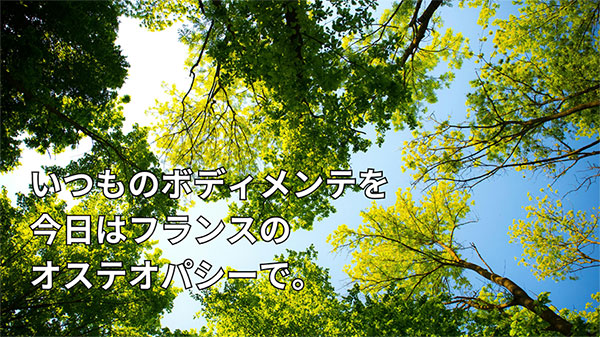 筋骨格×内臓×頭蓋で身体をまるごとサポート！フランス式オステオパシー整体ですっきり身体のメンテナンス！ととのえませんか？